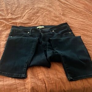 Madewell petite Stovepipe Jeans